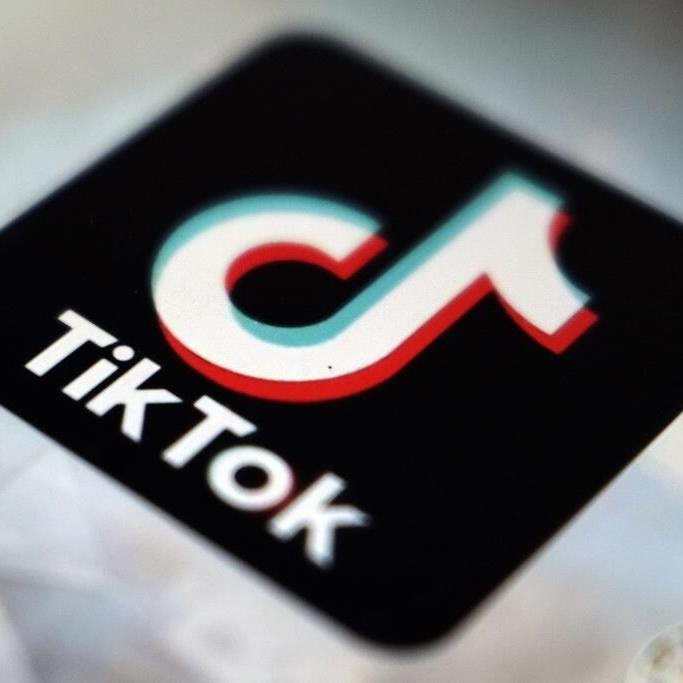 TikTok dismisses calls for Chinese owners to sell stakes
